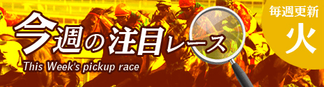 メビウスの無料コンテンツ　今週の注目レース