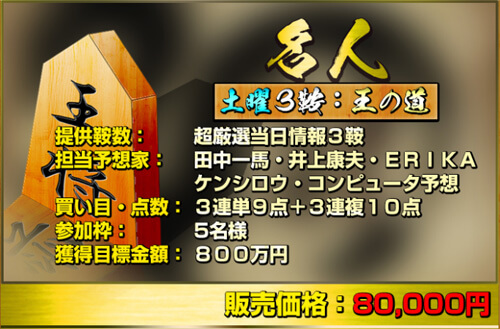 勝ち馬の定石　有料情報