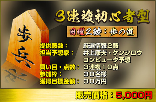 勝ち馬の定石　有料情報