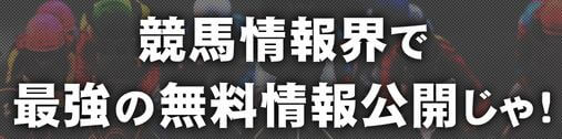 サラブレッド道場_最強の無料情報公開じゃ