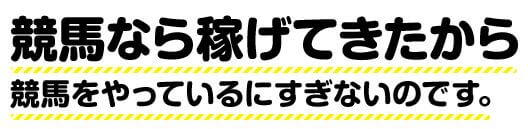 毎日情報_競馬なら稼げてきた