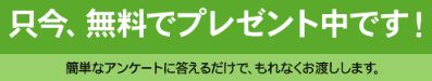 ボンちゃんのタワゴト_プレゼント中です