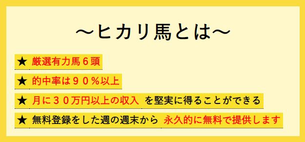 諭吉ランド_ヒカリ馬とは？