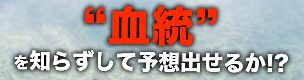 血統ウイナーズ血統を知らずして