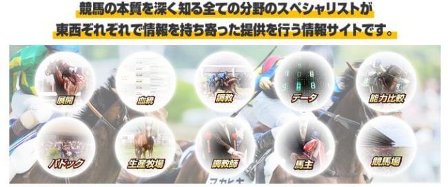 競馬トップチーム_分野