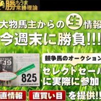 『勝ちうま常勝理論』が「趣味」の競馬を「投資」に変えてしまう！？